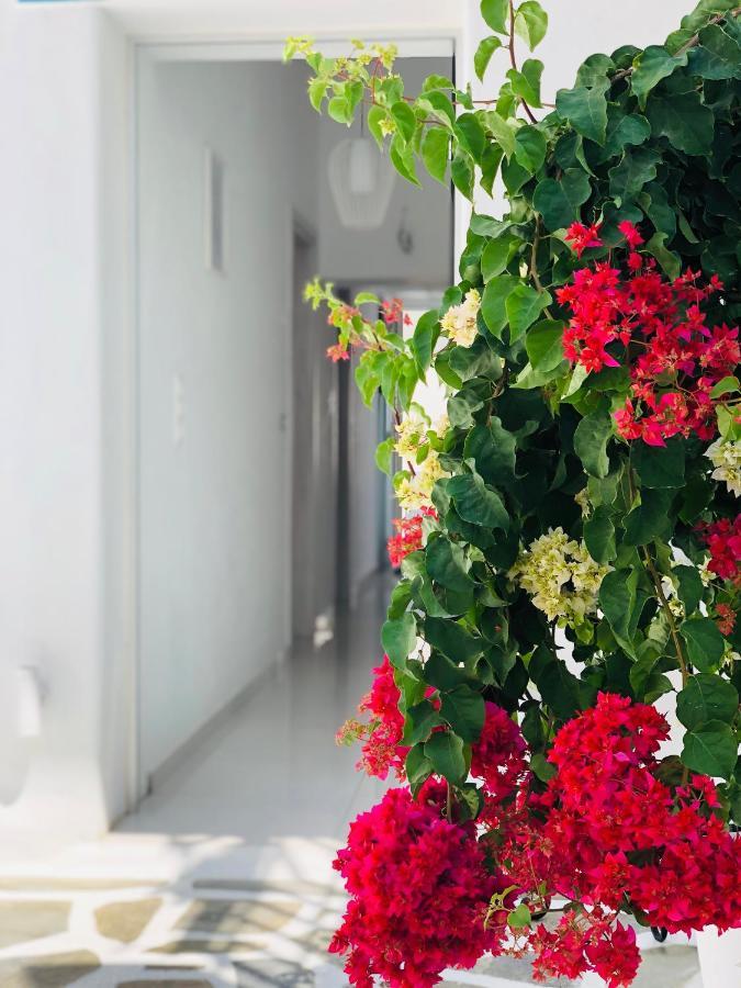 Bed and Breakfast Taki'S Guests Naxos City Екстер'єр фото